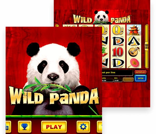 Wild Panda free slots no download